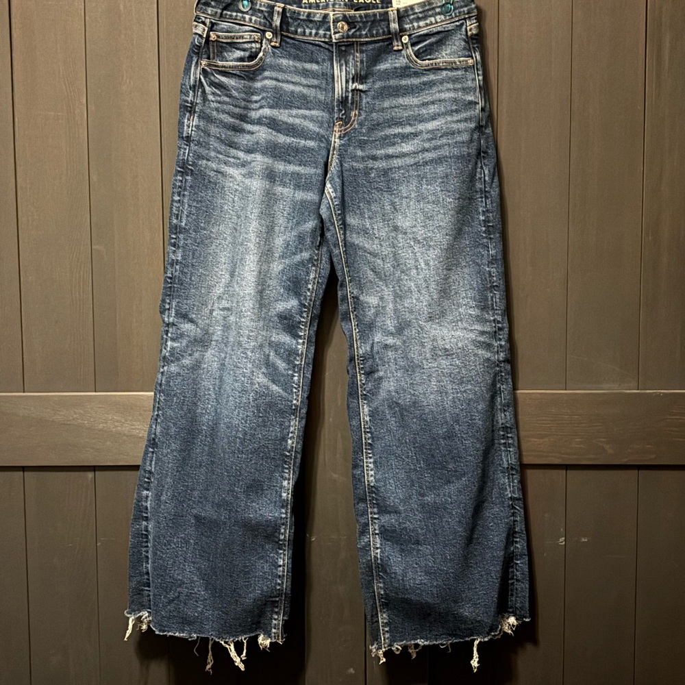 SOLD!! American Eagle Low-Rise Baggy Wide-Leg Size 10 NWT